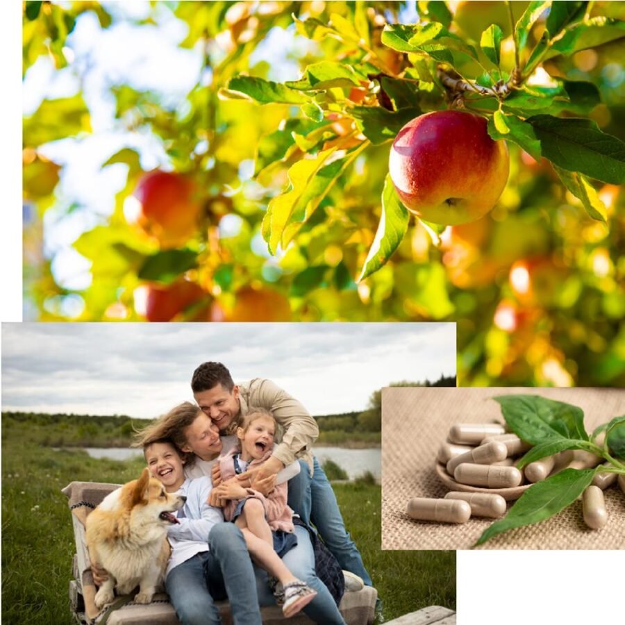 family enjoying good health in nature collage