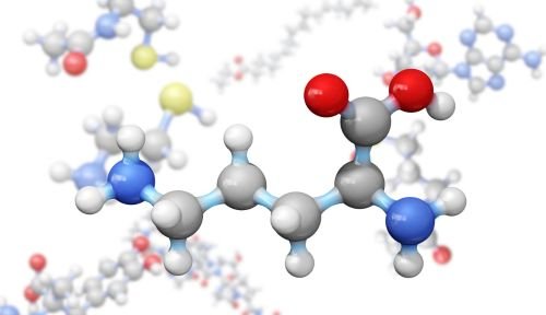 amino rugstys strukturos pavyzdys