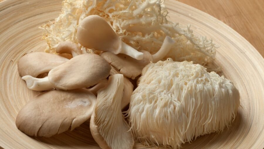 lion's mane mushrooms on a plate